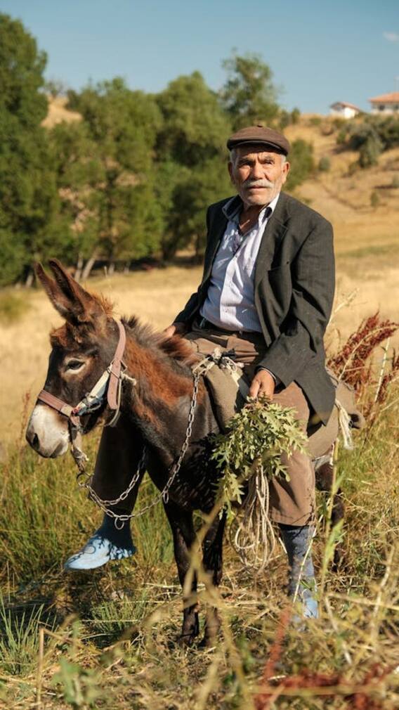 भारत के किस राज्य में लगता है गधों का मेला?