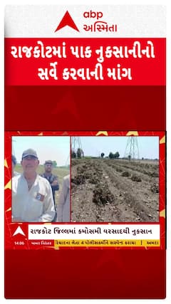 Rajkot Farmers : રાજકોટમાં પાક નુકસાનીનો સર્વે કરવાની ઉઠી માંગ, જુઓ શોર્ટ વીડિયો