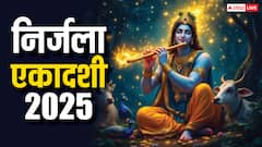 निर्जला एकादशी पर कर सकते हैं ये 5 शुभ काम, मां लक्ष्मी घर में करती हैं वास