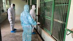 गोरखपुर चिड़ियाघर में बर्ड फ्लू से बाघिन की मौत, अधिकारी और कर्मचारियों की भी हुई जांच