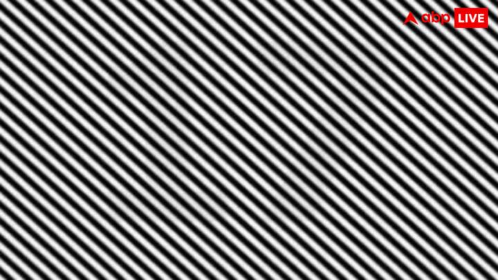 अगर आप अब भी नहीं खोज पा रहे हैं तो हम ही आपको बता देते हैं. दरअसल, इस दिमाग हिला देने वाली तस्वीर में जो संख्या छिपी है वो 17 है. जो थोड़ा सा गौर करने पर साफ दिखाई दे रही है.