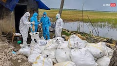 Bird Flu: લખનૌ પ્રાણી સંગ્રહાલય સહિત ઉત્તર પ્રદેશના તમામ પ્રાણી ઉદ્યાનો બંધ, જાણો કારણ