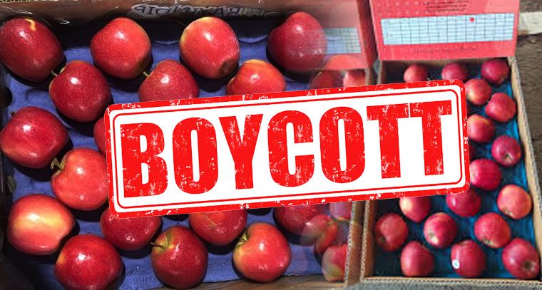 Boycott Turkey gains momentum in India it Could Destroy Economy Boycott Turkey: పాకిస్తాన్‌కు తోడుగా దివాలా తీయాల్సిందే - భారత్ బాయ్ కాట్ నినాదంతో టర్కీకి చాలా సమస్యలు !