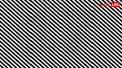 धुंधली दिखने वाली तस्वीर में छिपा है खुफिया नंबर, दिखा क्या? वक्त 10 सेकंड