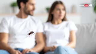 इन लोगों के पास जाना भी पसंद नहीं करते हैं मच्छर, ये है वजह