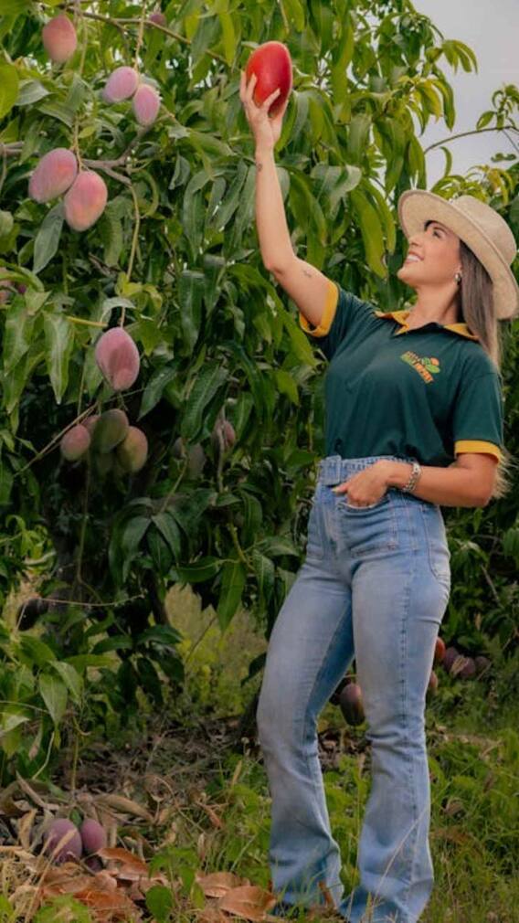 यहां मिलता है दुनिया का सबसे महंगा आम