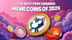 Mog Coin and Mr Miggles Follow XRP's Suit, While This New Cat Joins the Best Meme Coin Presales to Buy Now