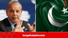 IMF Bailout package for Pakistan: পাকিস্তানকে ঋণের দ্বিতীয় কিস্তি দিল IMF, গত সপ্তাহেই আপত্তি জানিয়েছিল ভারত