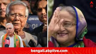 India Pakistan Conflict: 'বিশ্বের দাদাগিরি করা দেশ নাক গলানোর সুযোগ পাবে..', বাংলাদেশ ও নেপাল ইস্যুতে নাম না করে কাকে নিশানা দিলীপের ?