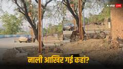 एमपी अजब है: पहले चुराई नहर, अब हो गई 'नाली' चोरी, नगर निगम के ढूंढने से भी नहीं मिली! 