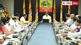 TDP: నెలకో పథకం అమలు చేసేలా సంక్షేమ క్యాలండర్ - టీడీపీ పొలిట్ బ్యూరో నిర్ణయం