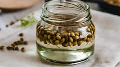 Coriander Soaked Water Benefits : ధనియాలు రాత్రి నానబెట్టుకుని ఉదయాన్నే తాగితే కలిగే లాభాలు ఏంటో తెలుసా?