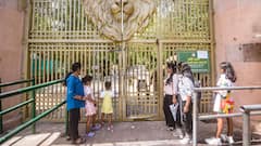 Bird Flu: All Zoos Shut In UP After Tigress Death, Centre Rushes 5-Member Team