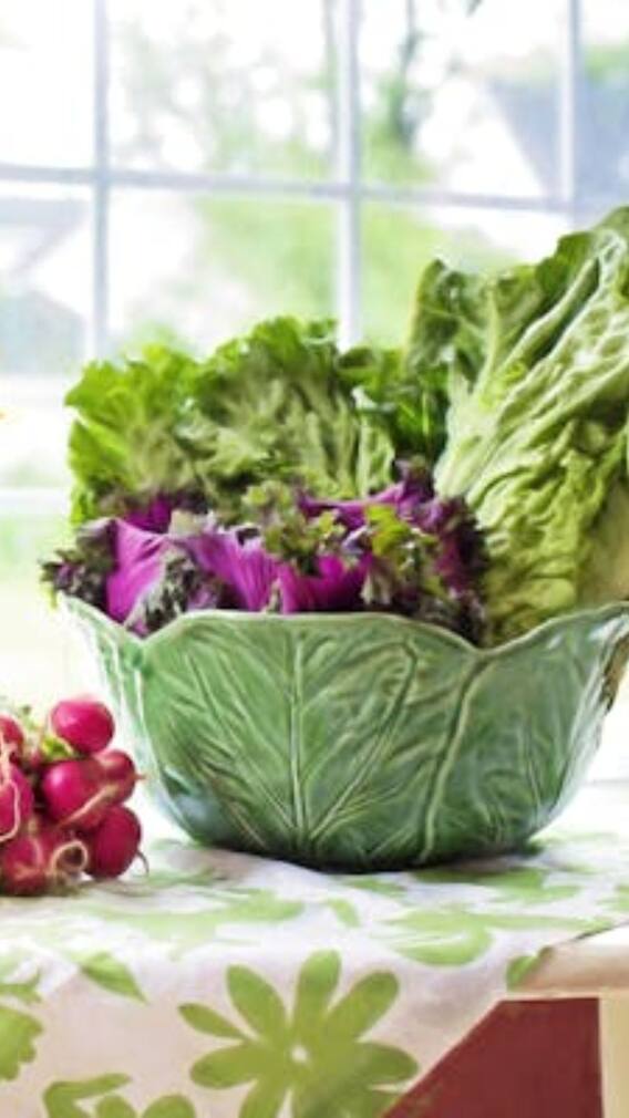 बालकनी में ही आसानी से उगा सकते हैं ये सब्जियां