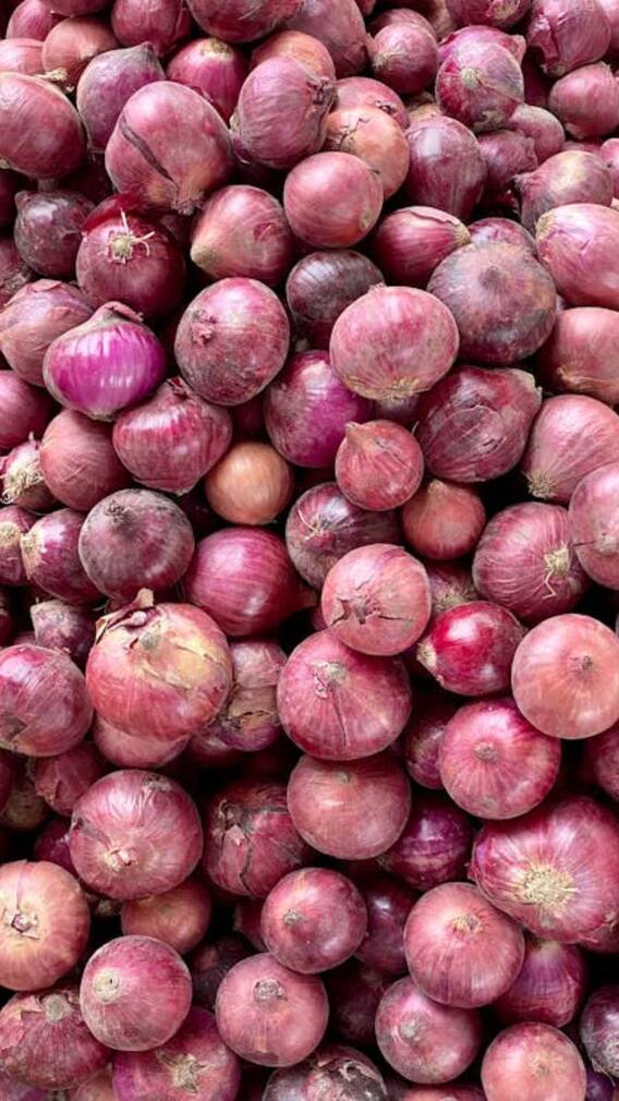 पाकिस्तान में कितने रुपये किलो मिलता है प्याज?