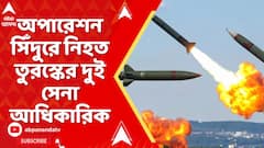 Operation Sindoor: ড্রোন দিয়ে পাকিস্তানকে সামরিক সাহায্য করাই শুধু নয়, সেনাও পাঠিয়েছিল তুরস্ক