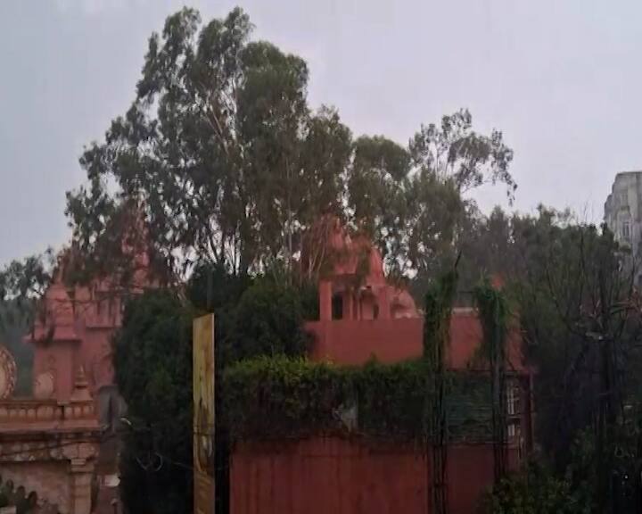 આ અણધાર્યા વરસાદથી એક તરફ ખેડૂતોમાં ચિંતા જોવા મળી રહી છે, તો બીજી તરફ શહેરમાં કેટલાક લોકોએ વરસાદનો આનંદ પણ માણ્યો હતો.