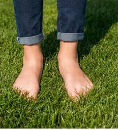 ਰੁਟੀਨ 'ਚ ਸ਼ਾਮਲ ਕਰੋ ਇਹ ਚੰਗੀ ਆਦਤ... ਘਾਹ 'ਤੇ ਨੰਗੇ ਪੈਰ ਤੁਰਨਾ ਨਾਲ ਮਿਲਦੇ ਇਹ ਫਾਇਦੇ