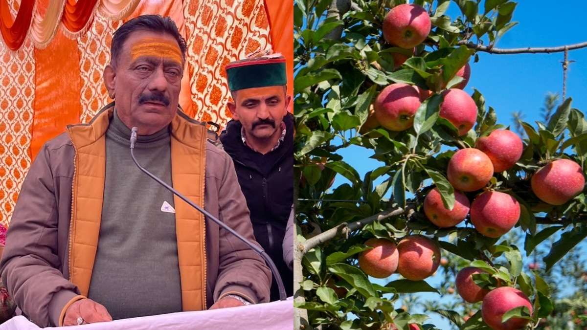 हिमाचल प्रदेश में कांग्रेस की मांग, ‘तुर्किए के सेब इंपोर्ट पर लगे बैन, सांप को दूध पिलाने से…’