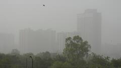 दिल्ली-नोएडा में हर तरफ क्यों छाई धूल? मौसम विभाग ने बताया, डरा सकती है ये तस्वीरें