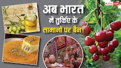 तुर्किए से क्या-क्या खरीदता है भारत, जानें रिश्ते खराब होने पर क्या पड़ेगा असर