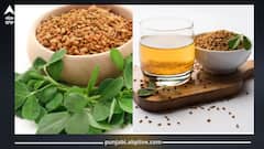 ਮੇਥੀ ਦਾ ਪਾਣੀ ਭੁੱਲ ਕੇ ਵੀ ਇਹਨਾਂ ਲੋਕਾਂ ਨੂੰ ਨਹੀਂ ਪੀਣਾ ਚਾਹੀਦਾ, ਫਾਇਦੇ ਦੀ ਥਾਂ ਹੋ ਸਕਦਾ ਨੁਕਸਾਨ, ਸਾਈਡ ਇਫੈਕਟਸ ਤੋਂ ਬਚੋ!