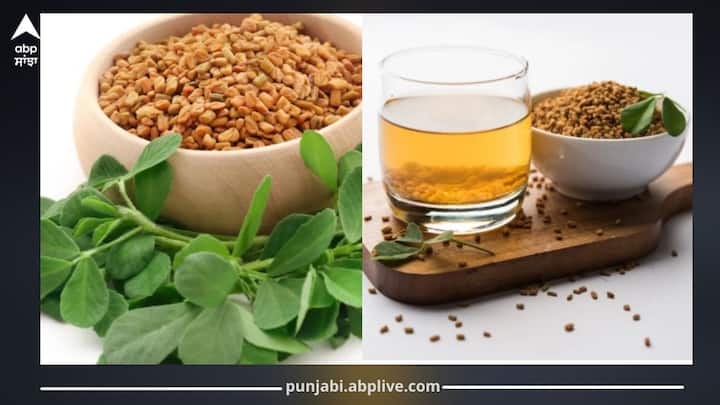 ਮੋਟਾਪਾ ਅਤੇ ਬੈਲੀ ਫੈਟ ਨਾ ਸਿਰਫ਼ ਤੁਹਾਡੀ ਸ਼ਖਸੀਅਤ ਨੂੰ ਖ਼ਰਾਬ ਕਰਦੀ ਹੈ ਸਗੋਂ ਕਈ ਬਿਮਾਰੀਆਂ ਦਾ ਕਾਰਨ ਵੀ ਹੈ। ਇਸ ਲਈ ਇਸ ਨੂੰ ਕੰਟਰੋਲ ਕਰਨਾ ਬਹੁਤ ਜ਼ਰੂਰੀ ਹੈ। ਆਓ ਜਾਣਦੇ ਇਸ ਪਾਣੀ ਦੇ ਹੋਰ ਫਾਇਦੇ...