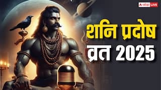 Shani Pradosh Vrat 2025: मई में क्या शनि जयंती पर ही है शनि प्रदोष व्रत ? जान लें सही तारीख
