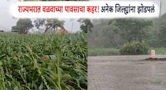 तिकडं मान्सूनच्या आगमनाची तारीख ठरली, इकडे राज्यभरात वळवाच्या पावसाचा कहर! अनेक जिल्ह्यांना झोडपलं, IMD म्हणतं...