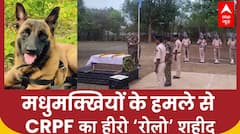 Chhattishgarh: CRPF के हीरो ROLO मधुमक्खियों के हमले में शहीद, IED ढूंढ कर बचाई थी जवानों की जान