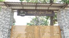 Uttarakhand: राजाजी नेशनल पार्क में जानवरों की प्यास बुझाने के खास इंतजाम, जगह-जगह बनाए गए वॉटर होल्स