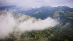 24-Year-Old Woman Killed, Three Injured As Tent Collapses At Wayanad Eco-Resort