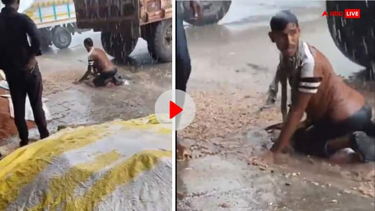 तेज बारिश में अपनी फसल बचाने के लिए सड़क पर बैठकर ये करने लगा बेबस किसान, वीडियो देख आएगा रोना