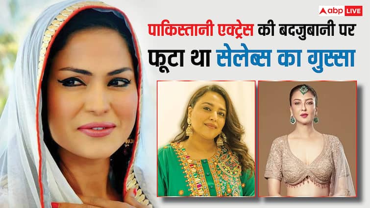 'आपकी बीमार मानसिकता पर शर्म आती है', पाकिस्तानी एक्ट्रेस पर भड़के थे सेलेब्स