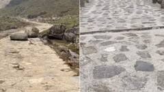 केदारनाथ यात्रा की दूरी अब 5 किमी हुई कम, 12 साल बाद खुला रामबाड़ा-गरुड़ चट्टी मार्ग