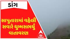 Dang Weather News: સાપુતારામાં વહેલી સવારે ધુમ્મસભર્યું વાતાવરણ, જુઓ નજારો વીડિયોમાં