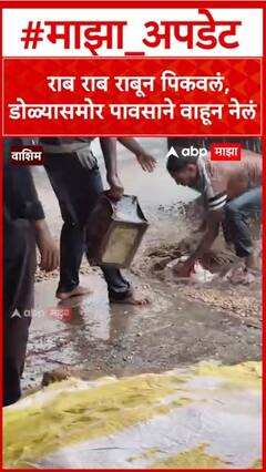Washim Farmer Rain Video : राब राब राबून पिकवलं, डोळ्यासमोर पावसाने वाहून नेलं
