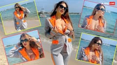 Cannes 2025 में भोजपुरी हसीना Neha Malik का जलवा, समंदर किनारे क्लीवेज फ्लॉन्ट कर बढ़ाया इंटरनेट का पारा