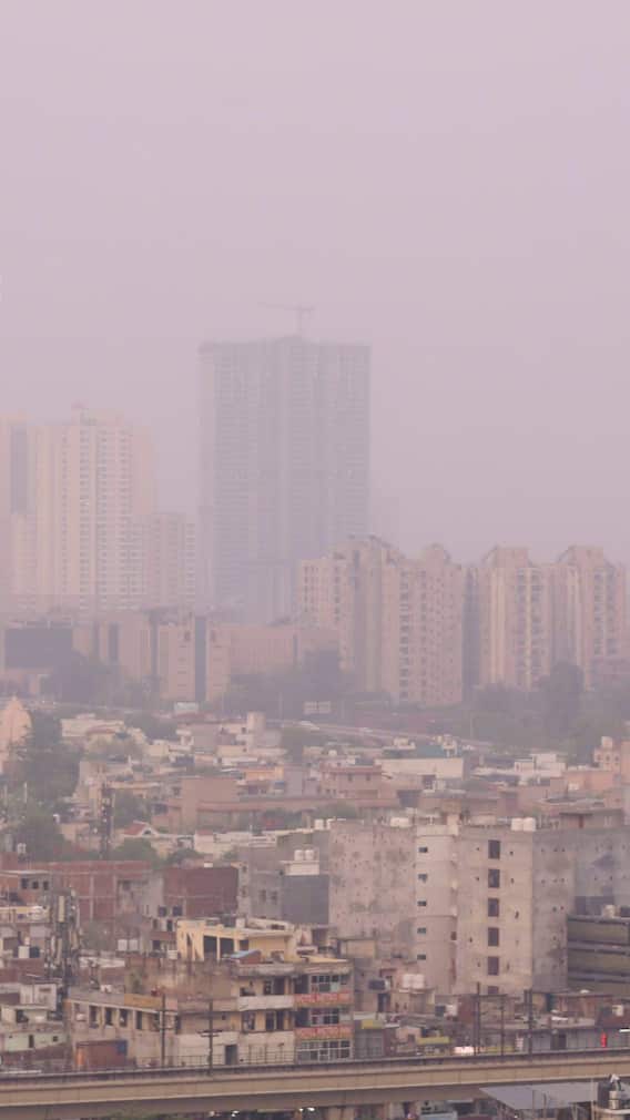 जहरीली होती जा रही हवा! इन उपायों से दें प्रदूषण को मात