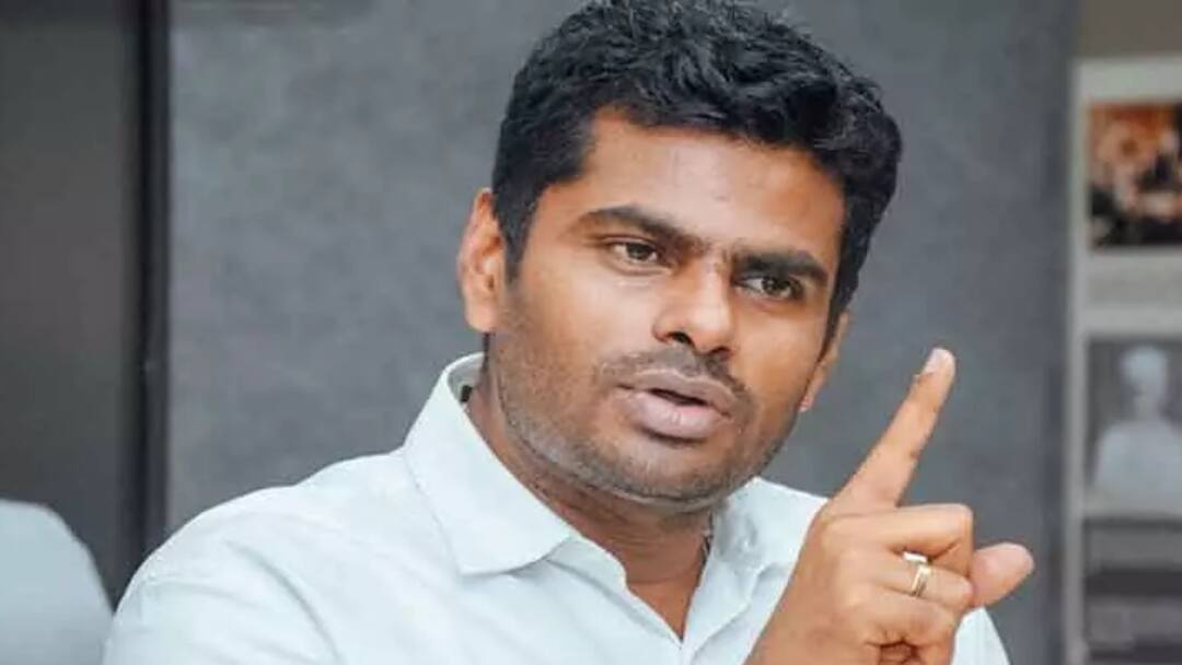Annamalai: ஆடு, மாடுகளோட நிம்மதியா இருக்குறேன்.. பதவி போன பிறகு அண்ணாமலை உற்சாகம்