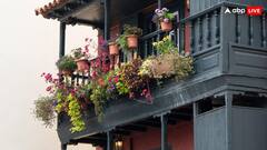 क्या बालकनी में गमले रखने वालों पर भी नोएडा में होगा केस दर्ज? जान लीजिए अपने काम की बात