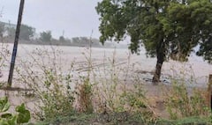 Amreli Rain: અમરેલી જિલ્લામાં ગાજવીજ સાથે ધોધમાર વરસાદ,  લાઠીમાં ખેતરોમાં પાણી ફરી વળ્યા
