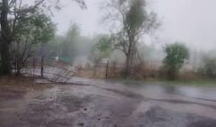 Valsad Rain: વલસાડના ધરમપુર અને કપરાડા તાલુકામાં ભરઉનાળે ચોમાસા જેવો માહોલ 