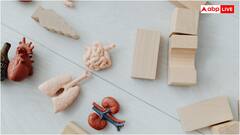 भूलकर भी मत खाना ये 7 बेहद कॉमन दवाएं, किडनी को कर देती हैं डैमेज