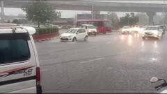 Rain Alert: આવતીકાલે રાજ્યના ૧૩ જિલ્લામાં વરસાદની આગાહી, ખેડૂતોના તૈયાર પાક પર સંકટઃ ૭ દિવસ સુધી માવઠું....