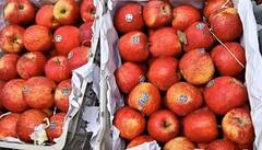 ਪੰਜਾਬ 'ਚ ਵੀ ਤੁਰਕੀ ਦੇ ਸੇਬਾਂ ਦਾ ਬਾਈਕਾਟ, ਲੋਕਾਂ ਨੂੰ ਵੀ ਸਾਥ ਦੇਣ ਦੀ ਕੀਤੀ ਅਪੀਲ, ਭਾਰਤ ਵਿਰੁੱਧ ਦਿੱਤਾ ਸੀ ਪਾਕਿਸਤਾਨ ਦਾ ਸਾਥ