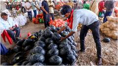 Delhi's Azadpur Mandi Traders Halt Trade From Turkey Over Pahalgam Terror Attack