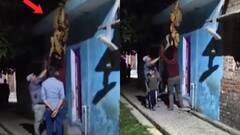 बरेली में पति की क्रूरता, पत्नी को 5 मिनट तक छत से लटका दिया उल्टा, मोहल्ले वालों ने बचाई जान