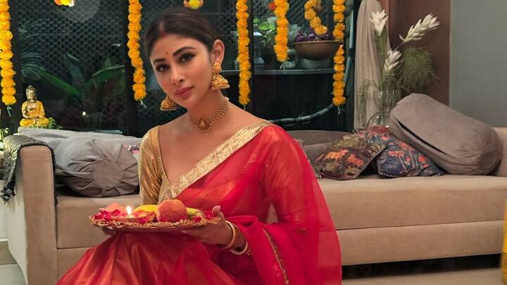Mouni Roy kept it classic with this plain red saree, minimal makeup, and a flower-adorned bun. Her choker and jhumkas complete a pure, devotional look suitable for a spiritual ritual like Vat Savitri Vrat.(Image Source: Instagram/ imouniroy)