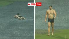 క్రికెట్ గ్రౌండ్‌లో స్విమ్మింగ్ చేసిన క్రికెట్ - బెంగళూరు స్టేడియంలో వింత - వీడియో వైరల్